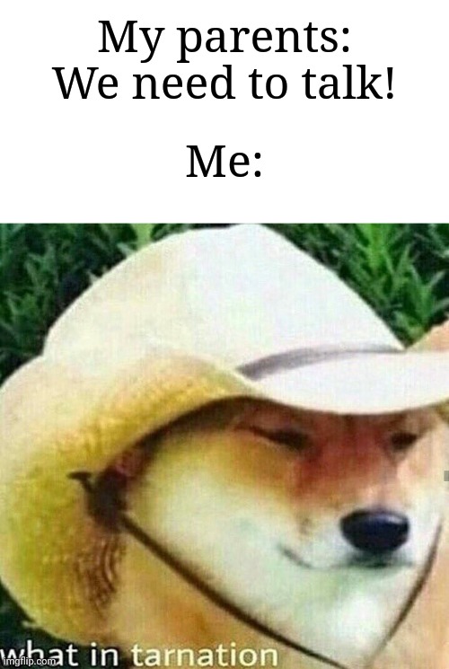 We can all relate to this | My parents: We need to talk! Me: | image tagged in what in tarnation dog,memes,funny,parents,relatable,why are you reading this | made w/ Imgflip meme maker