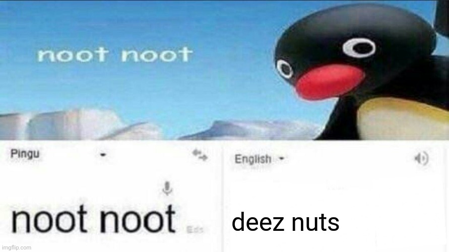 Translate noot noot into english and Will Deez will give you deez nuts! | deez nuts | image tagged in noot noot google translate | made w/ Imgflip meme maker