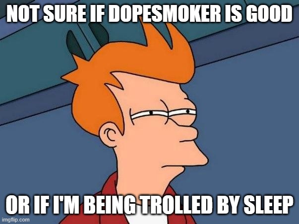 Not sure if- fry | NOT SURE IF DOPESMOKER IS GOOD; OR IF I'M BEING TROLLED BY SLEEP | image tagged in not sure if- fry | made w/ Imgflip meme maker