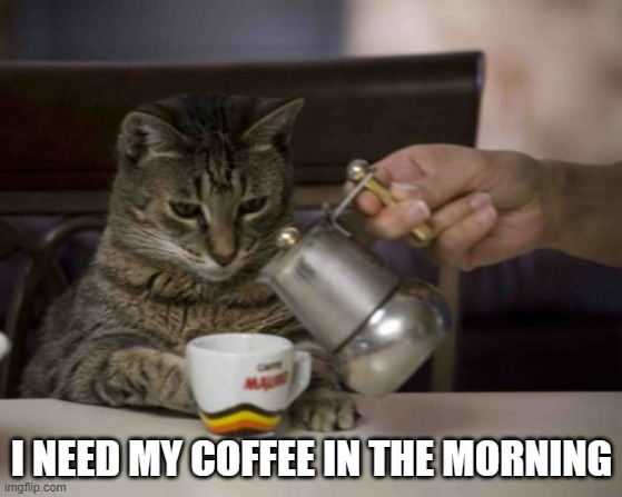 memes by Brad - cat needs his coffee in the morning | I NEED MY COFFEE IN THE MORNING | image tagged in funny,cats,funny cat,coffee,kittens,humor | made w/ Imgflip meme maker