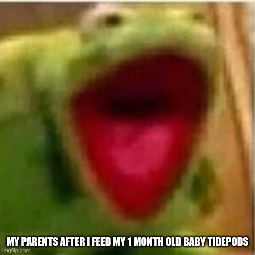 their over reacting | MY PARENTS AFTER I FEED MY 1 MONTH OLD BABY TIDEPODS | image tagged in ahhhhhhhhhhhhh,aaaaaaaaaaaaaaaaaaaaaaaaa,kermit | made w/ Imgflip meme maker