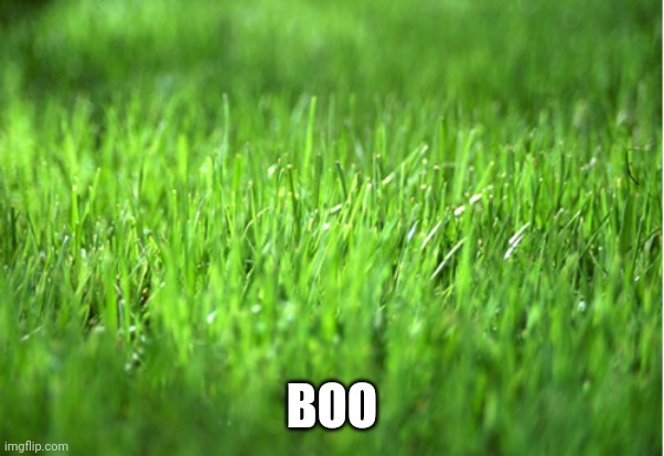 grass is greener | BOO | image tagged in grass is greener | made w/ Imgflip meme maker