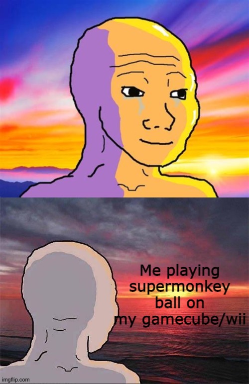 Me playing supermonkey ball on my gamecube/wii | image tagged in wojak nostalgia | made w/ Imgflip meme maker