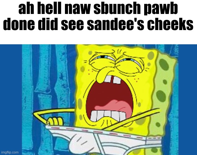 ah hell naw sbunch pawb done did see sandee's cheeks | made w/ Imgflip meme maker