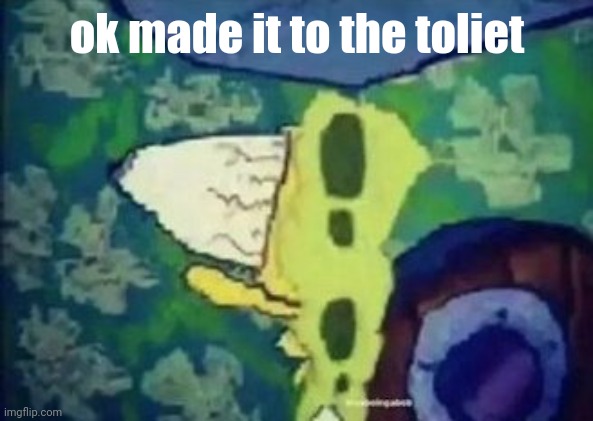 BAZINGA! | ok made it to the toliet | image tagged in bazinga | made w/ Imgflip meme maker