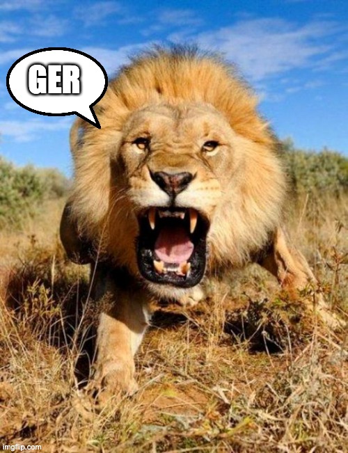 Meet leo! | GER | image tagged in lion | made w/ Imgflip meme maker