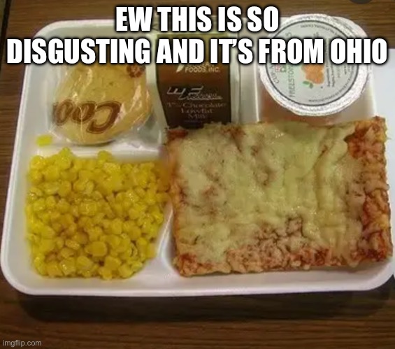 EW THIS IS SO DISGUSTING AND IT’S FROM OHIO | image tagged in school lunch | made w/ Imgflip meme maker