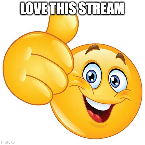 Thumbs up bitches | LOVE THIS STREAM | image tagged in thumbs up bitches | made w/ Imgflip meme maker