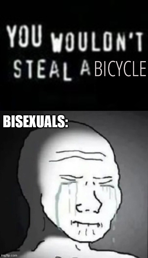BICYCLE; BISEXUALS: | image tagged in you wouldn't steal a x | made w/ Imgflip meme maker