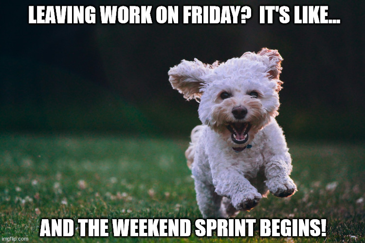 Friday afternoon | LEAVING WORK ON FRIDAY?  IT'S LIKE... AND THE WEEKEND SPRINT BEGINS! | image tagged in leaving work,friday,race to leave,weekend spring | made w/ Imgflip meme maker