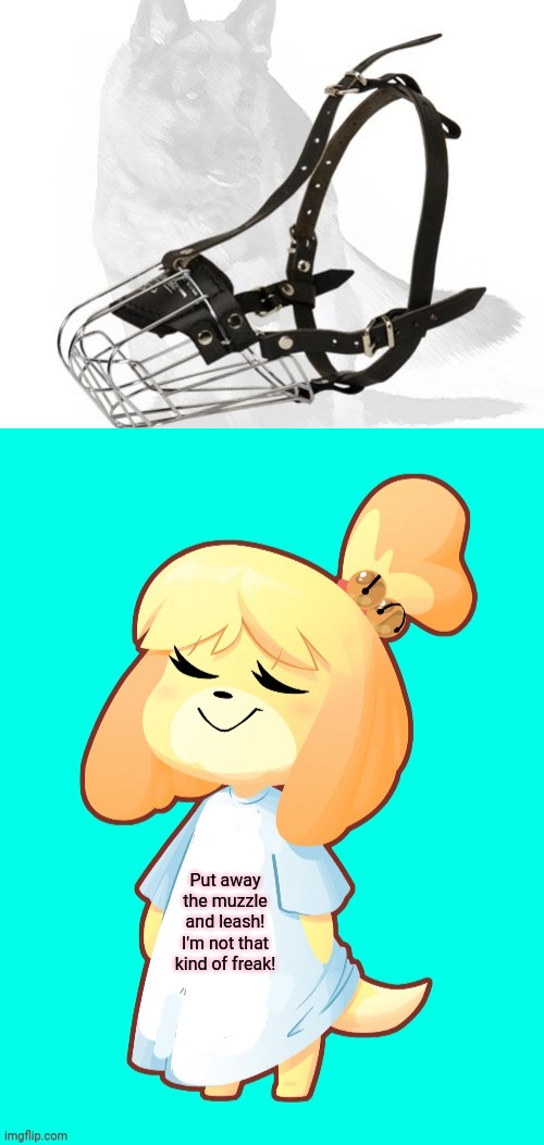 Put away the muzzle and leash! I'm not that kind of freak! | image tagged in isabelle shirt,stop it get some help,muzzle,leash,isabelle,animal crossing | made w/ Imgflip meme maker