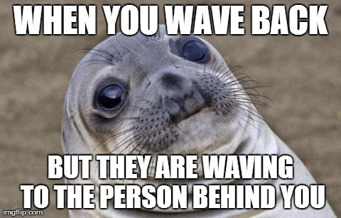 Awkward Moment Sealion | WHEN YOU WAVE BACK BUT THEY ARE WAVING TO THE PERSON BEHIND YOU | image tagged in memes,awkward moment sealion,AdviceAnimals | made w/ Imgflip meme maker