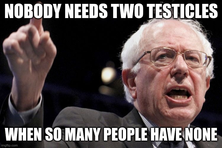 Redistributing private property | NOBODY NEEDS TWO TESTICLES; WHEN SO MANY PEOPLE HAVE NONE | image tagged in bernie sanders | made w/ Imgflip meme maker