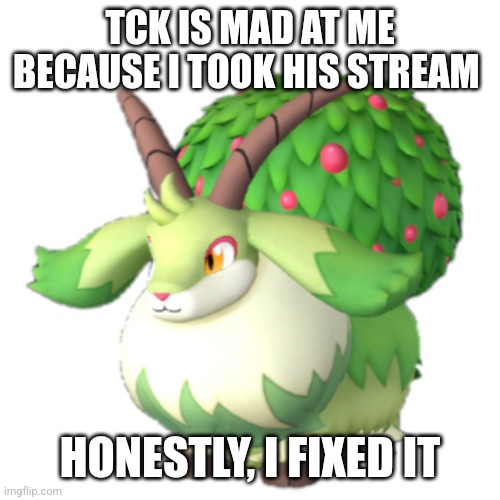 Caprity | TCK IS MAD AT ME BECAUSE I TOOK HIS STREAM; HONESTLY, I FIXED IT | image tagged in caprity | made w/ Imgflip meme maker