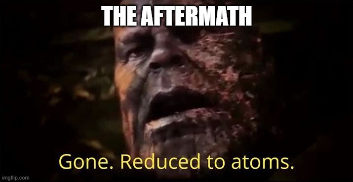 Thanos gone reduced to atoms | THE AFTERMATH | image tagged in thanos gone reduced to atoms | made w/ Imgflip meme maker