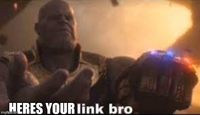 link bro | HERES YOUR | image tagged in link bro | made w/ Imgflip meme maker