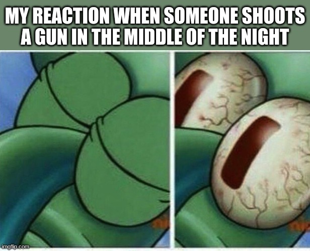 8hg9 gtji[0ae rgj[0 | MY REACTION WHEN SOMEONE SHOOTS A GUN IN THE MIDDLE OF THE NIGHT | image tagged in squidward,memes | made w/ Imgflip meme maker