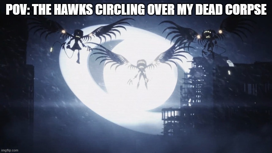 The Hawks | POV: THE HAWKS CIRCLING OVER MY DEAD CORPSE | image tagged in disassembly drones | made w/ Imgflip meme maker