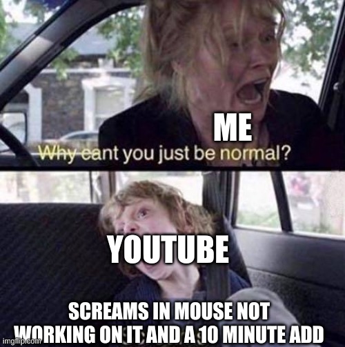 why | ME; YOUTUBE; SCREAMS IN MOUSE NOT WORKING ON IT AND A 10 MINUTE ADD | image tagged in why can't you just be normal | made w/ Imgflip meme maker