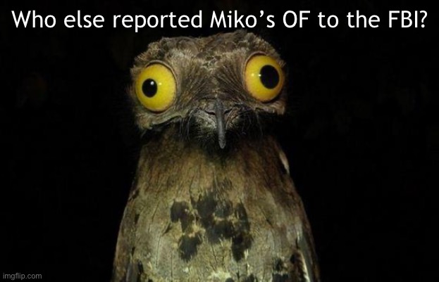 ._. | Who else reported Miko’s OF to the FBI? | image tagged in memes,weird stuff i do potoo | made w/ Imgflip meme maker