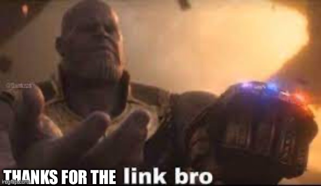 link bro | THANKS FOR THE | image tagged in link bro | made w/ Imgflip meme maker