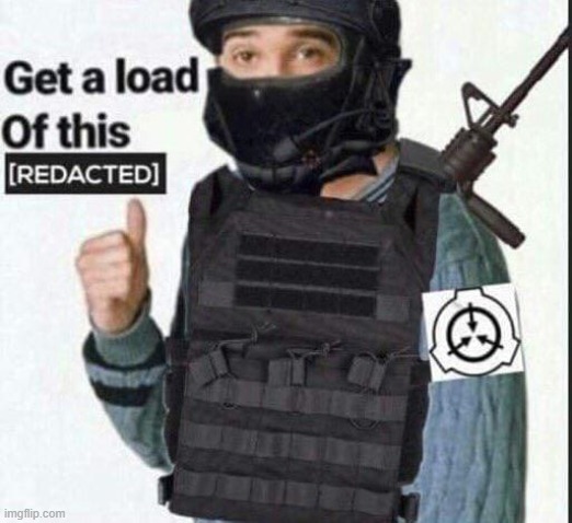 get a load of this [REDACTED] | image tagged in get a load of this redacted | made w/ Imgflip meme maker