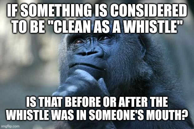Deep Thoughts | IF SOMETHING IS CONSIDERED TO BE "CLEAN AS A WHISTLE"; IS THAT BEFORE OR AFTER THE WHISTLE WAS IN SOMEONE'S MOUTH? | image tagged in deep thoughts | made w/ Imgflip meme maker