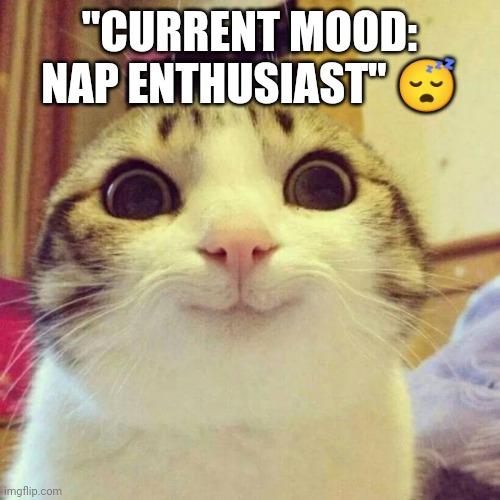 Smiling Cat Meme | "CURRENT MOOD: NAP ENTHUSIAST" 😴 | image tagged in memes,smiling cat | made w/ Imgflip meme maker