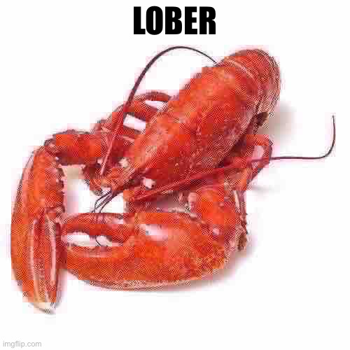 Lobster | LOBER | image tagged in lobster | made w/ Imgflip meme maker