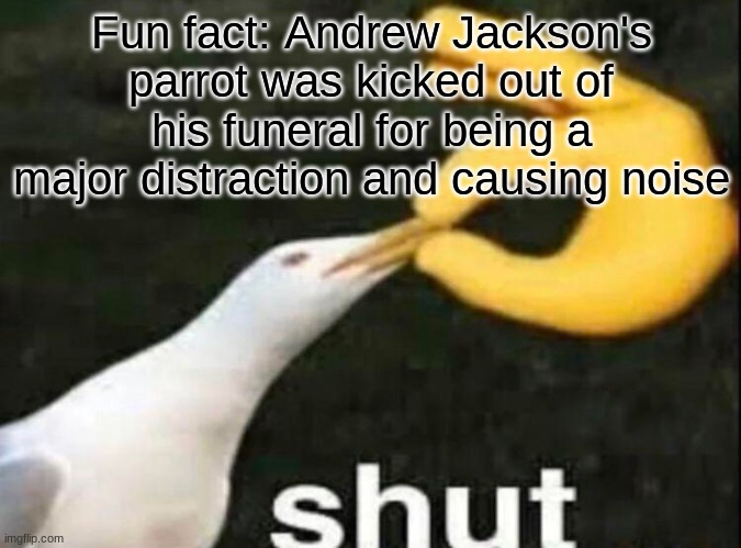 Jackson's parrot | Fun fact: Andrew Jackson's parrot was kicked out of his funeral for being a major distraction and causing noise | image tagged in shut,bird | made w/ Imgflip meme maker