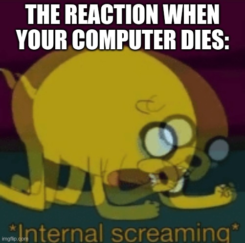 dead computer | THE REACTION WHEN YOUR COMPUTER DIES: | image tagged in jake the dog internal screaming | made w/ Imgflip meme maker