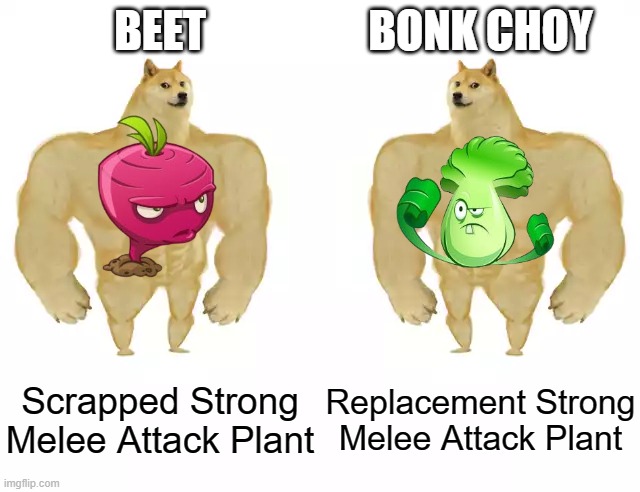 Beet VS Bonk Choy | BEET; BONK CHOY; Scrapped Strong Melee Attack Plant; Replacement Strong Melee Attack Plant | image tagged in beet vs bonk choy | made w/ Imgflip meme maker