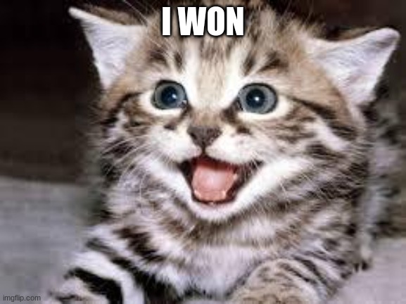 happy cat | I WON | image tagged in happy cat | made w/ Imgflip meme maker