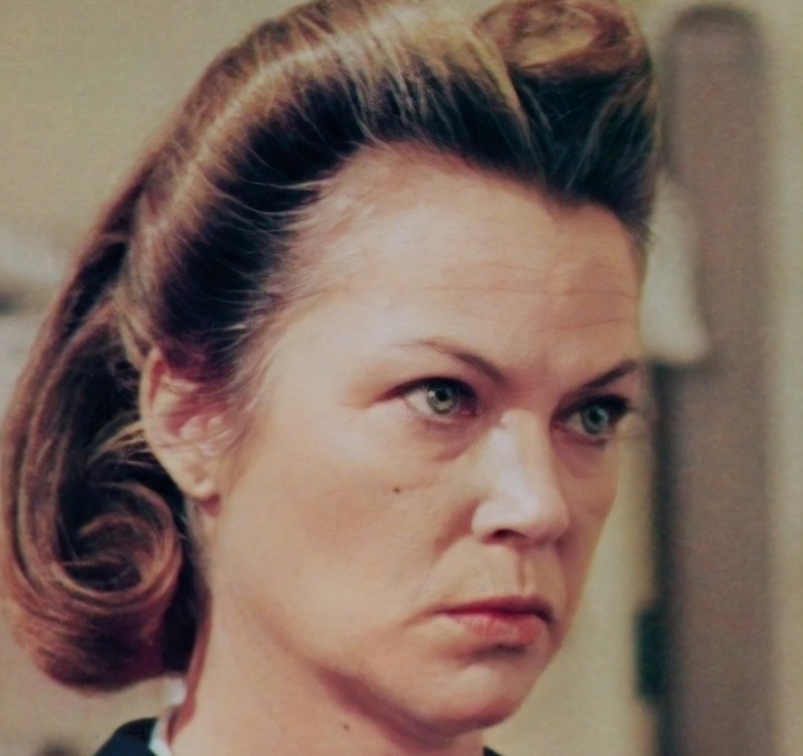 High Quality Nurse Ratched and Barry Blank Meme Template