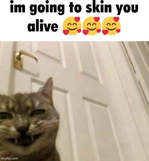 i’m going to skin you alive | image tagged in i m going to skin you alive | made w/ Imgflip meme maker