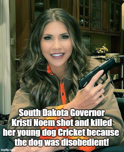 This MAGA nut job is on Trump's short list for VP | South Dakota Governor Kristi Noem shot and killed her young dog Cricket because 
the dog was disobedient! | image tagged in kristi noem,animal cruelty,south dakota,governor | made w/ Imgflip meme maker