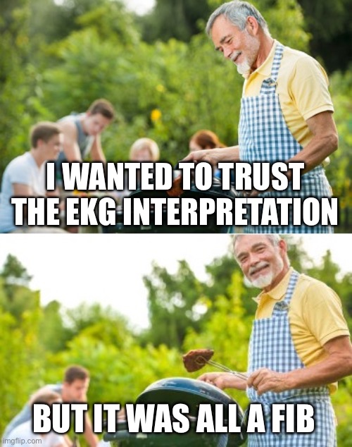 Cardiology puns | I WANTED TO TRUST THE EKG INTERPRETATION; BUT IT WAS ALL A FIB | image tagged in incoming dad joke,medical,pun,dad joke | made w/ Imgflip meme maker