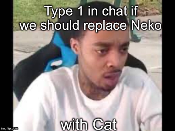 Flight Reacts “Woah Woah Woah” | Type 1 in chat if we should replace Neko; with Cat | image tagged in flight reacts woah woah woah | made w/ Imgflip meme maker