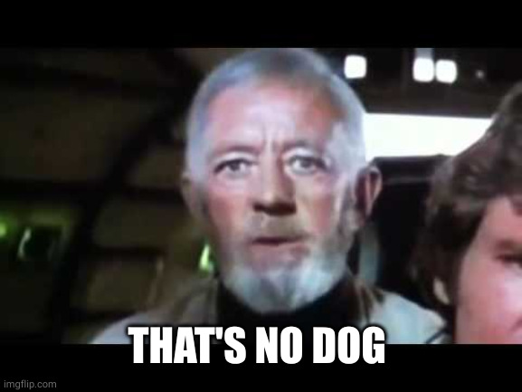 That's no moon | THAT'S NO DOG | image tagged in that's no moon | made w/ Imgflip meme maker