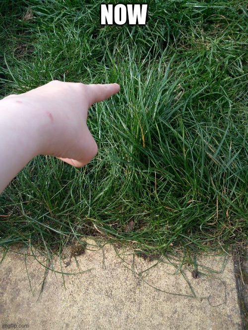 AFM tells you to touch grass | NOW | image tagged in afm tells you to touch grass | made w/ Imgflip meme maker