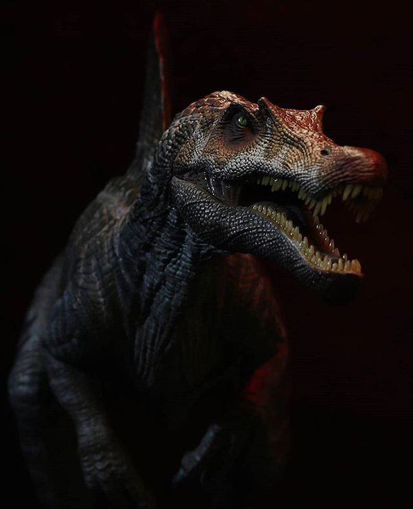 JPSpinosaurus's announcement temp 7 v3 Blank Meme Template