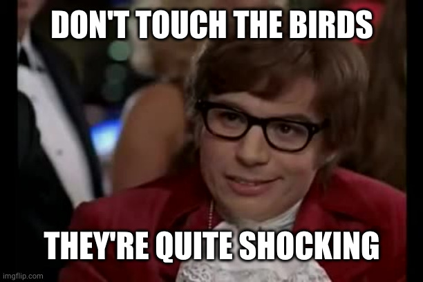 I Too Like To Live Dangerously Meme | DON'T TOUCH THE BIRDS THEY'RE QUITE SHOCKING | image tagged in memes,i too like to live dangerously | made w/ Imgflip meme maker