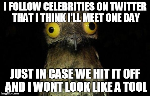 Weird Stuff I Do Potoo | I FOLLOW CELEBRITIES ON TWITTER THAT I THINK I'LL MEET ONE DAY JUST IN CASE WE HIT IT OFF AND I WONT LOOK LIKE A TOOL | image tagged in memes,weird stuff i do potoo | made w/ Imgflip meme maker