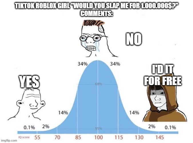 these the comments | TIKTOK ROBLOX GIRL "WOULD YOU SLAP ME FOR 1.000.000$?"
COMMENTS:; NO; I'D IT FOR FREE; YES | image tagged in bell curve,the,tiktok,comments,i hate | made w/ Imgflip meme maker