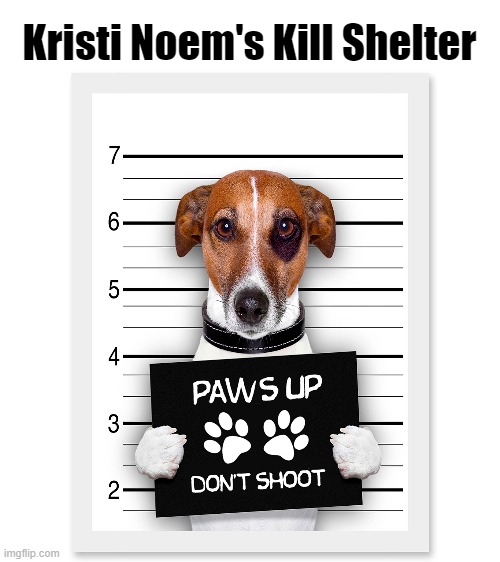 South Dakota Governor Kristi Noem's Kill Shelter | Kristi Noem's Kill Shelter | image tagged in kristi noem,animal shelter,don't shoot,poor dog,crickets | made w/ Imgflip meme maker