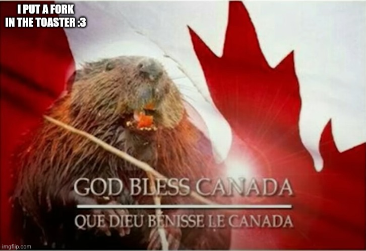 Hello | I PUT A FORK IN THE TOASTER :3 | image tagged in god bless canada | made w/ Imgflip meme maker