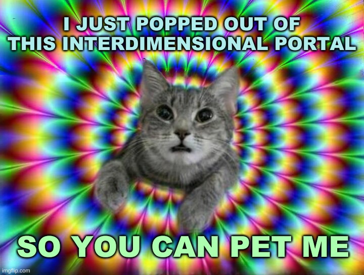 I JUST POPPED OUT OF THIS INTERDIMENSIONAL PORTAL; SO YOU CAN PET ME | image tagged in cute cat,cat,portal,pet me | made w/ Imgflip meme maker