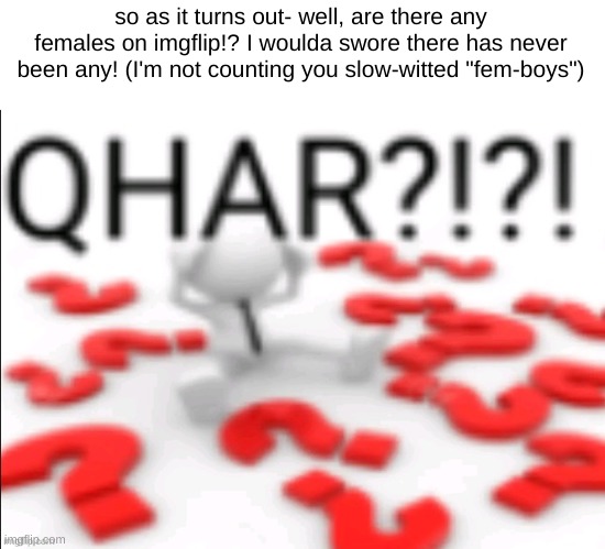 am I stupid? | so as it turns out- well, are there any females on imgflip!? I woulda swore there has never been any! (I'm not counting you slow-witted "fem-boys") | image tagged in qhar | made w/ Imgflip meme maker
