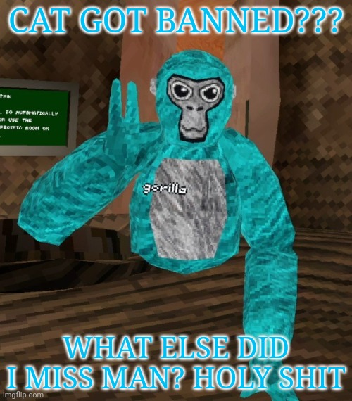 Monkey | CAT GOT BANNED??? WHAT ELSE DID I MISS MAN? HOLY SHIT | image tagged in monkey | made w/ Imgflip meme maker