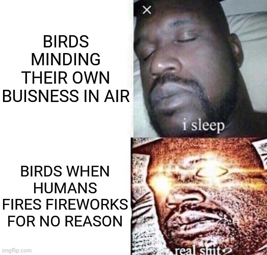 birds are litreally screwed | BIRDS MINDING THEIR OWN BUISNESS IN AIR; BIRDS WHEN HUMANS FIRES FIREWORKS FOR NO REASON | image tagged in i sleep real shit,birds,fireworks | made w/ Imgflip meme maker